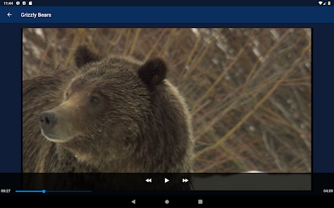 Captura de pantalla