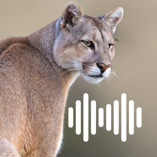 Cougar Hunting Calls logo