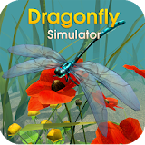 Dragonfly Simulator icon
