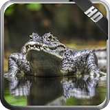 Crocodile Wallpaper icon