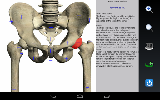 Visual Bones screenshot 20