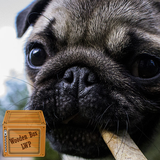 cute pug puppy wallpaper logo