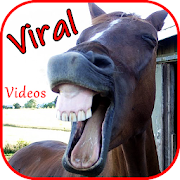 Top 11 Entertainment Apps Like Virale videoer. Morsomme videoer 2020 - Best Alternatives