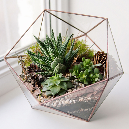 DIY Terrarium Design Laai af op Windows