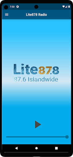 Lite878 Screen 2