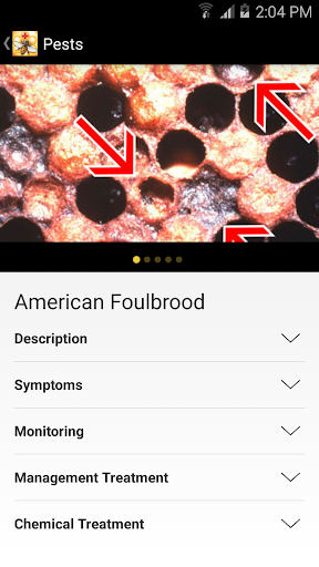 Bee Health Screen 2