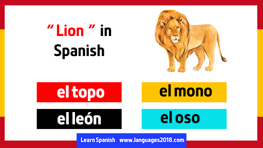 Learn Spanish - español Screen 3