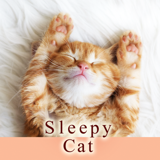 Sleepy Cat Theme logo