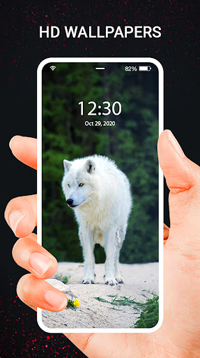 HD Wallpapers - Backgrounds Screen 3
