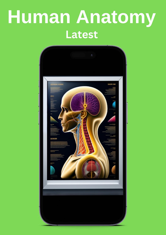 Human Anatomy - Latest - 1.0 - (Android)