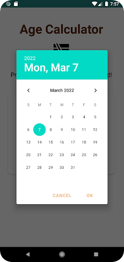 Age Calculator Screen 3
