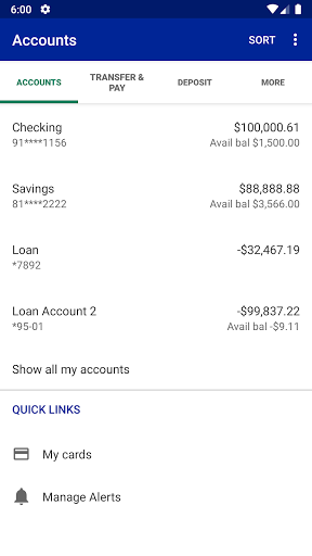 Chemung Canal/Capital Bank Screen 3