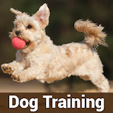 Dog Training Complete Guide | Videos icon
