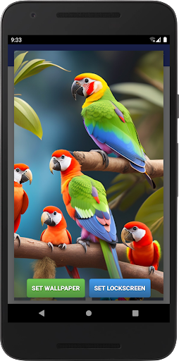 Parrots Wallpapers Screen 2