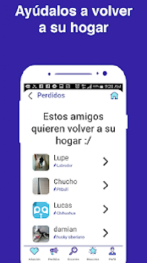 Taggerpet Oficial Screenshot 4 - AppWisp.com