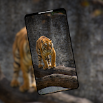 Cover Image of Download Unique 4K Animal Wallpapers  APK