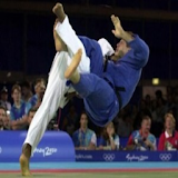Judo techniques1 icon