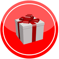 Gift List Diary - Christmas Present Organizer