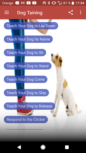 Dog Training