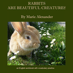 Symbolbild für Rabbits Are Beautiful Creatures: An English Workbook With Vocabulary Practice - Beginner