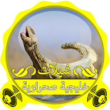 شيلات خليجية صحراوية 2015 icon