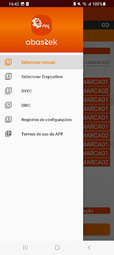 PIN+ Abastek Screen 2