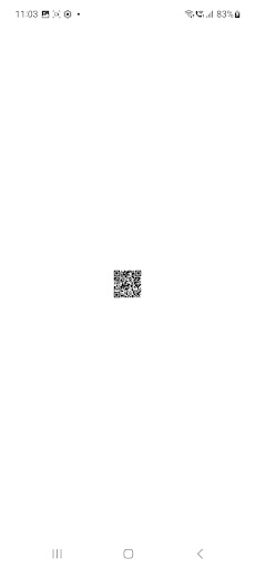 QR Scanner Pro Screen 2