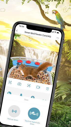 Bird Lover Screen 3