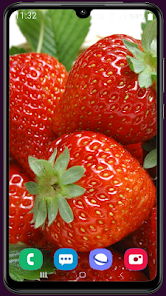 Imágen 9 Strawberry Wallpaper HD android
