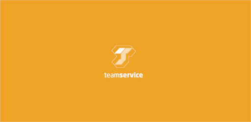 Team Service Puntos Control