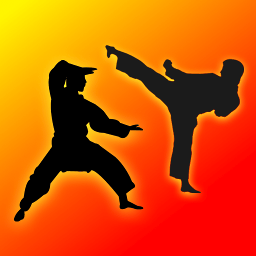 Learn Kung Fu Download on Windows