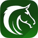 Horse Racing Picks & Bet Tips icon
