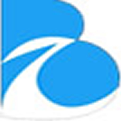BizConnect Lite logo