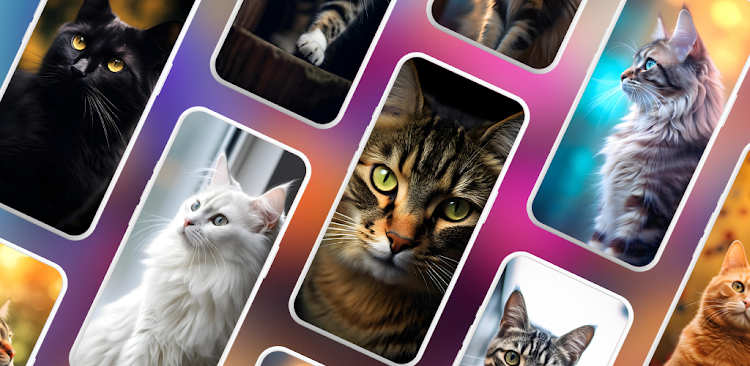 Cat Wallpapers HD Offline - 1.0.7 - (Android)