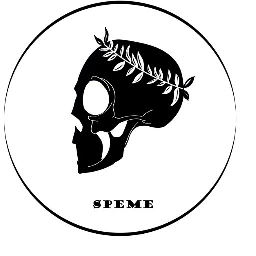 Stefano Bonollo logo