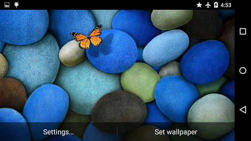 Magic Touch Butterflies