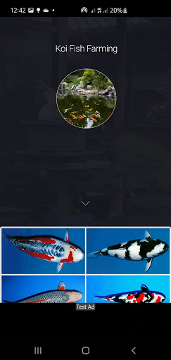 Android application Koi Fish Guide - Farming, Care screenshort