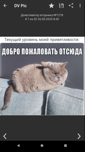 DVPic - видеоприколы и демы Screen 2
