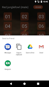 Captura 3 Gallus gallus android