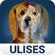 Top 30 Medical Apps Like Osteology in Dogs (Free) - Best Alternatives