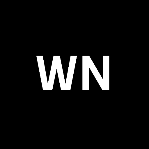 Black Screen White Noise logo