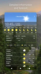 Road - Weather Live Wallpaper