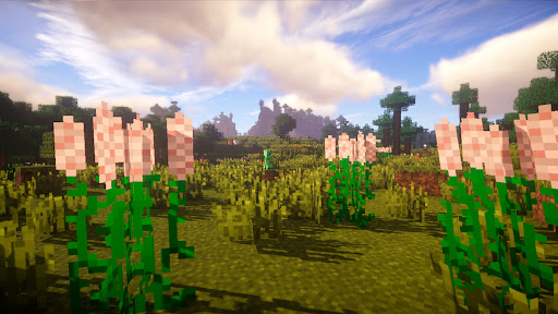 MCPE Placebo Mods Screen 3
