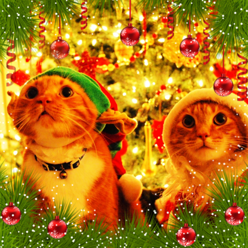 Christmas cards & wallpapers logo