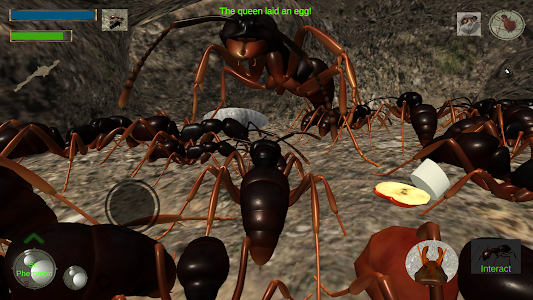 Ant Simulation 3D Unknown