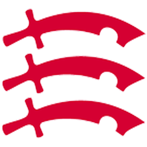Essex Private Fostering Logo