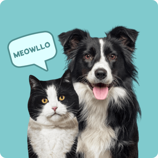 Pet Translator Prank: Dog, Cat Download on Windows