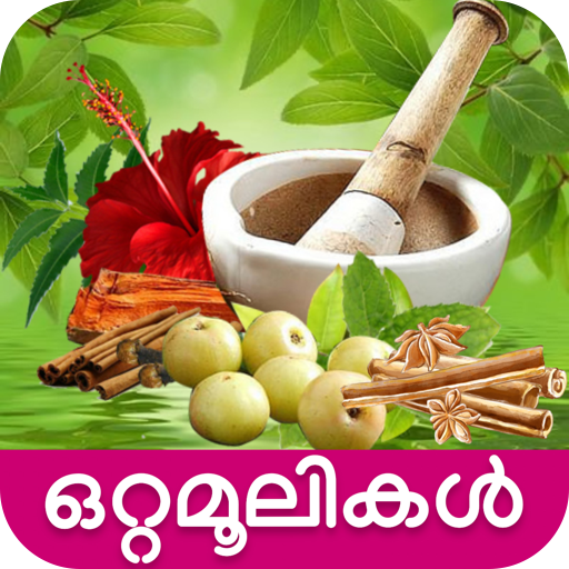 Ottamooli Malayalam logo