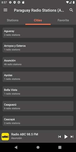 Paraguay Radio Stations (AM/FM Screen 2