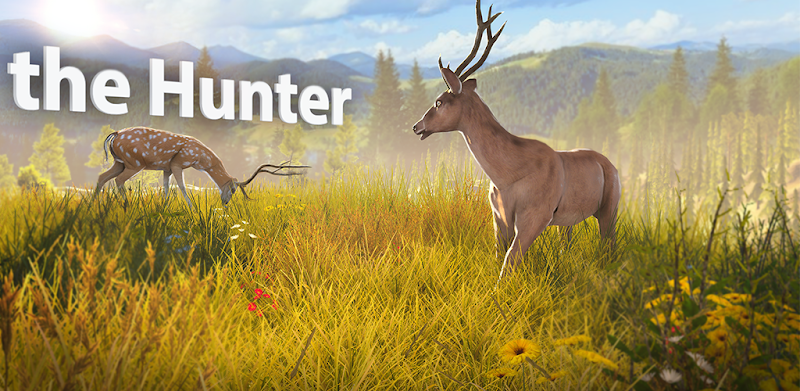 hry se zbraněmi na lov jelenů
